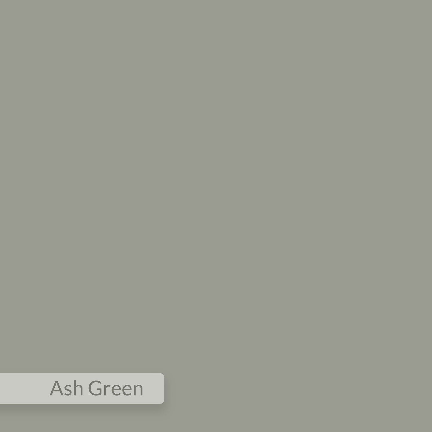 ARCHY HALL STAND - ASH GREEN