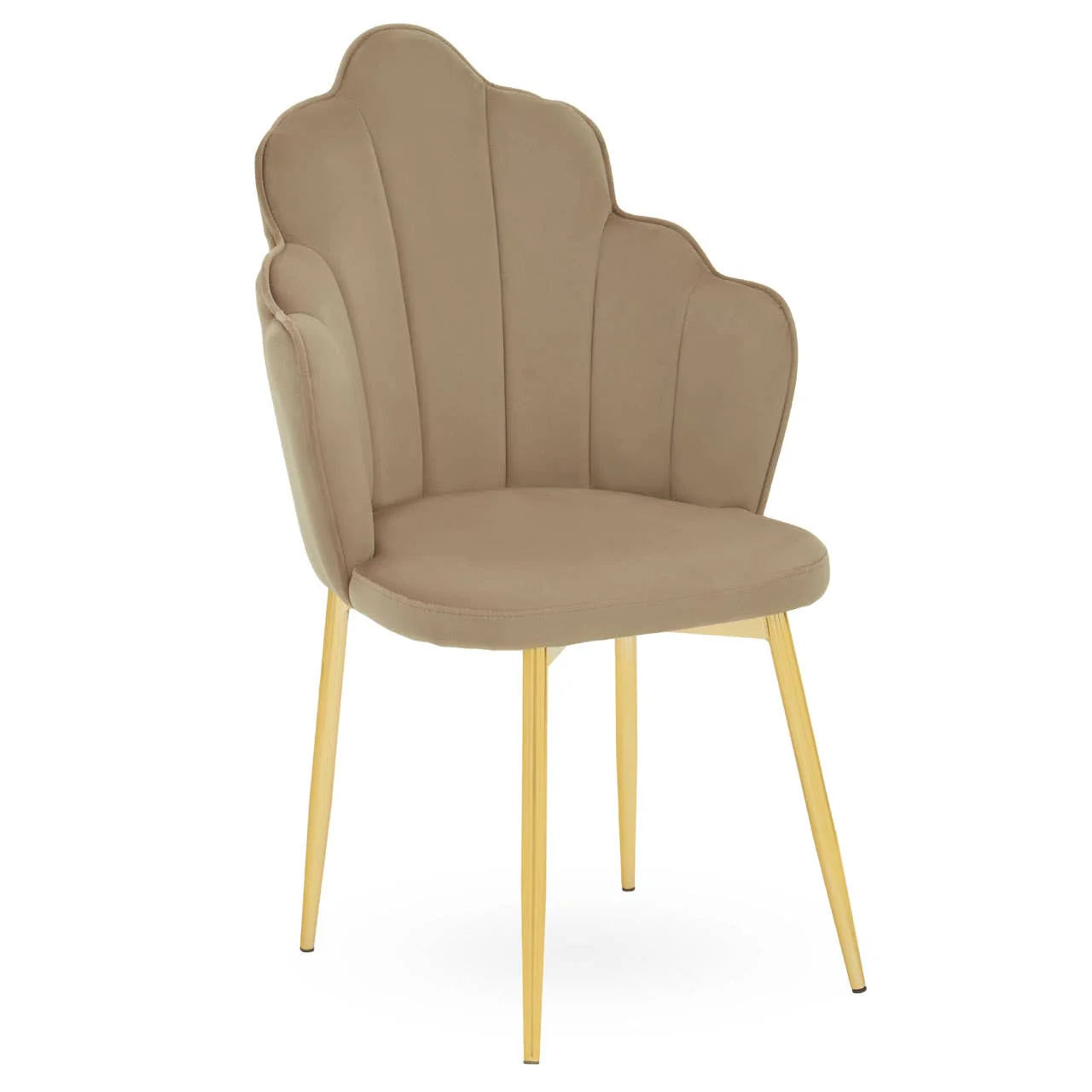 Tian Beauty/Dining/Office chair