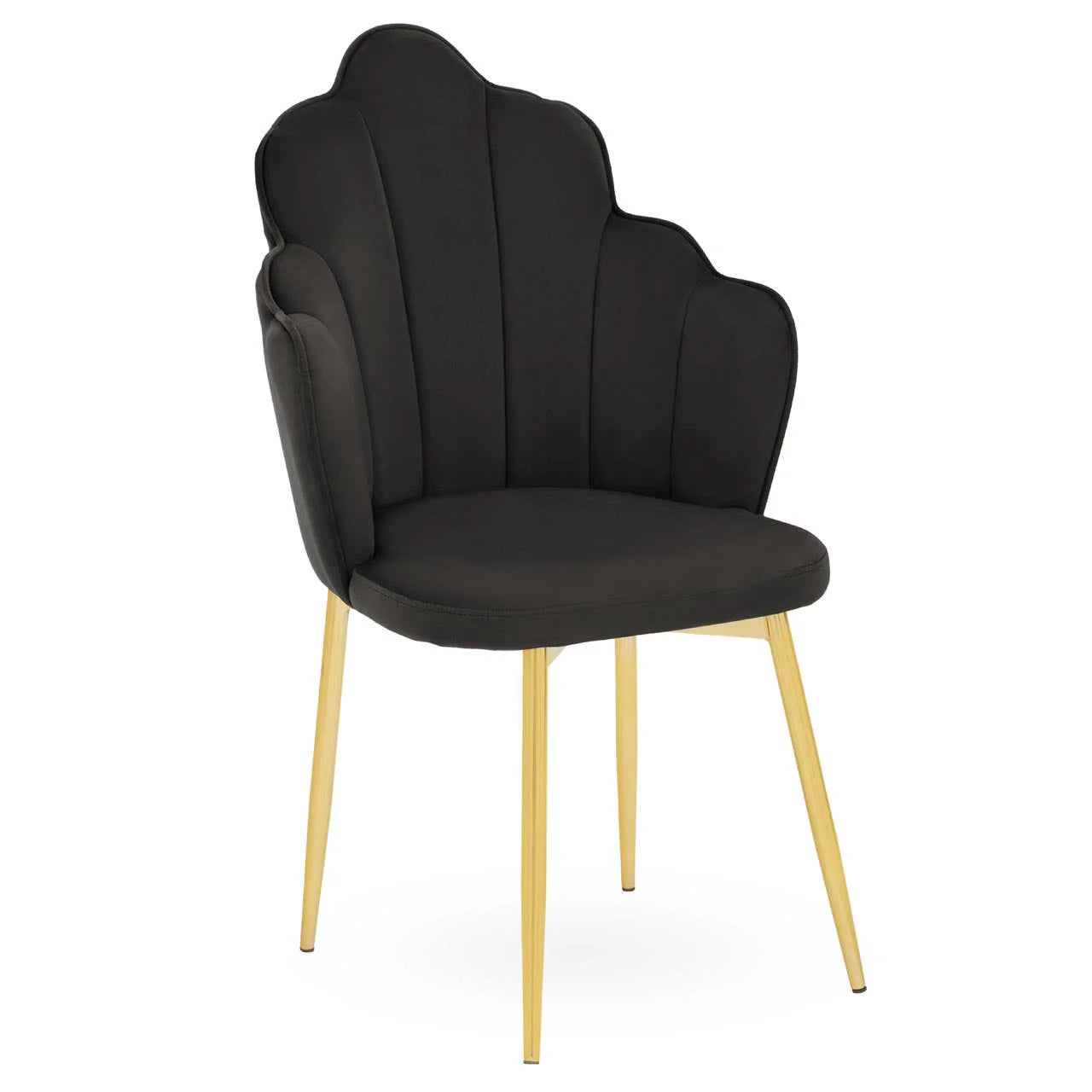 Tian Beauty/Dining/Office chair