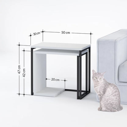 Zigosh Modern Coffee Table